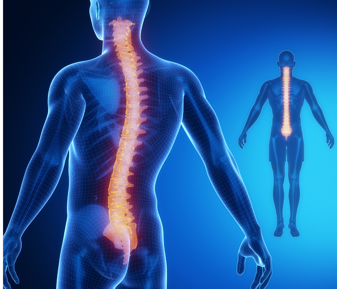 Understanding the Mechanics of Chiropractic Care