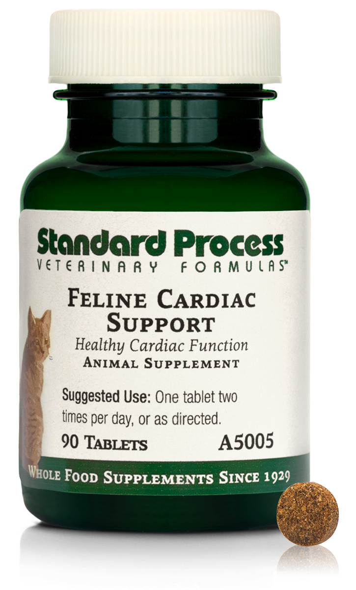 Feline Cardiac Support, 90 Tablets