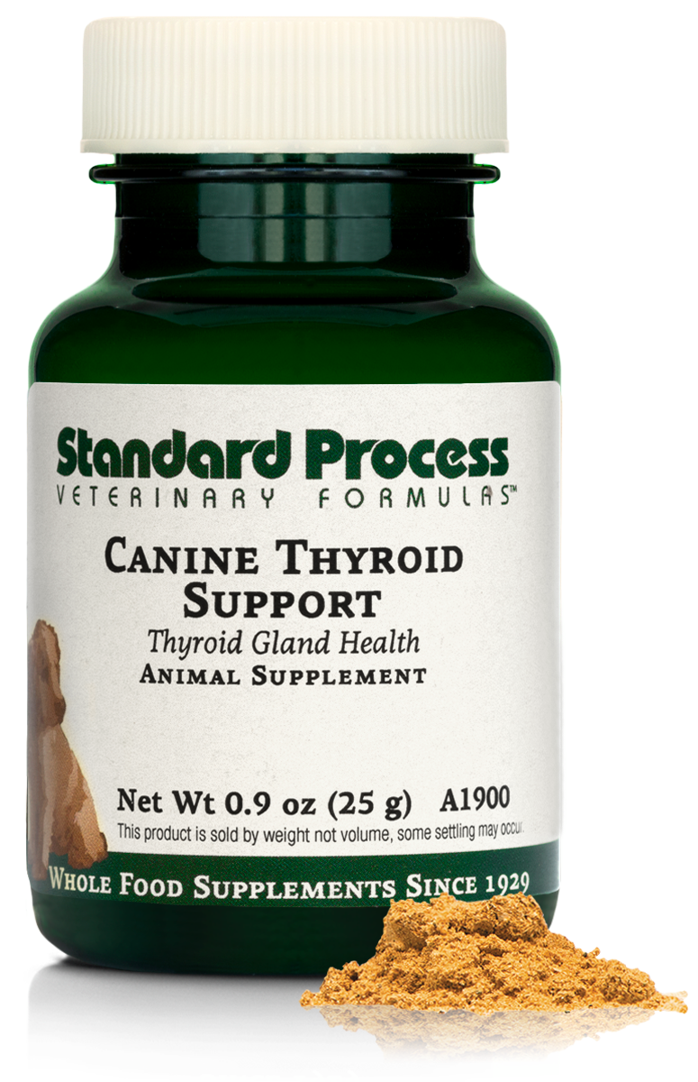 Canine Thyroid Support, 25 g